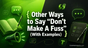 Other Ways to Say “Don’t Make A Fuss” (With Examples)