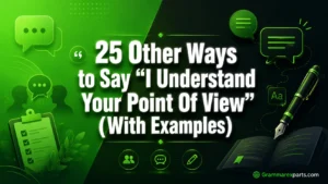 Other Ways to Say “I Understand Your Point Of View” (With Examples)