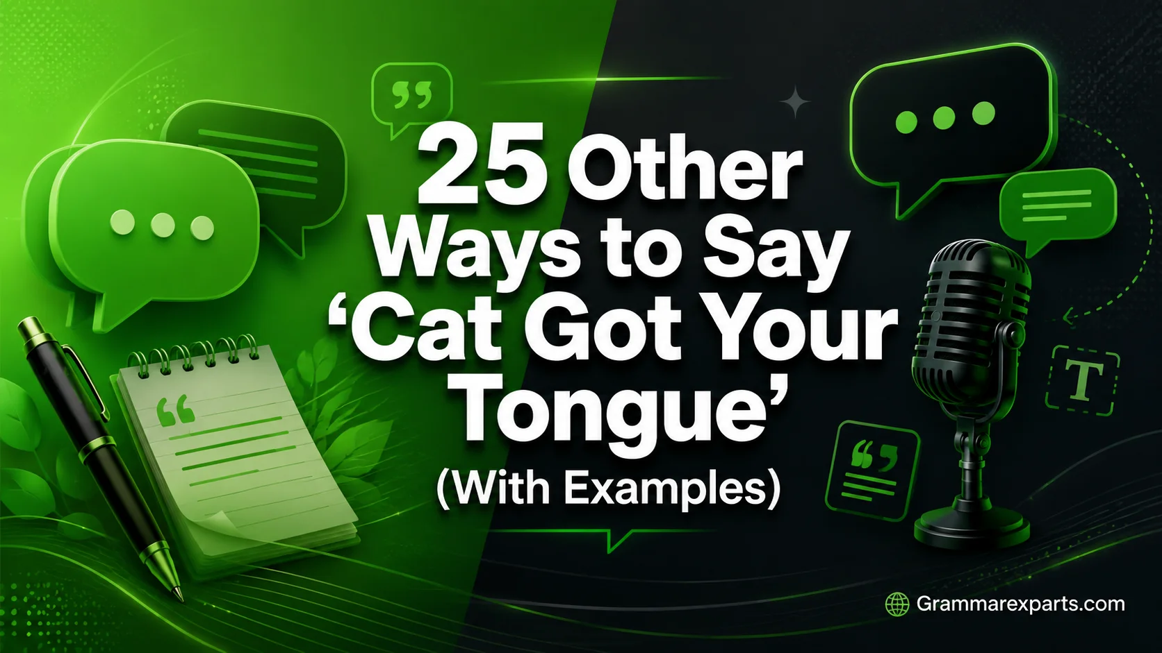 Other Ways to Say ‘Cat Got Your Tongue’ (With Examples)