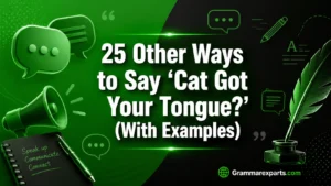 Other Ways to Say ‘Cat Got Your Tongue?’ (With Examples)