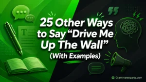 Other Ways to Say “Drive Me Up The Wall” (With Examples)