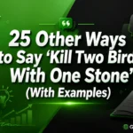 Other Ways to Say ‘Kill Two Birds With One Stone’ (With Examples)