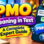 PMO Meaning in Text